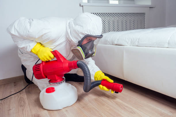 Professional Pest Control in Shanor Northvue, PA