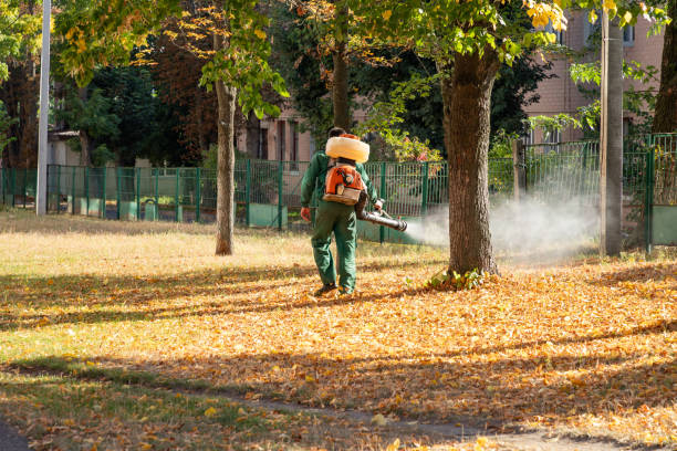 Wildlife Control Services in Shanor Northvue, PA